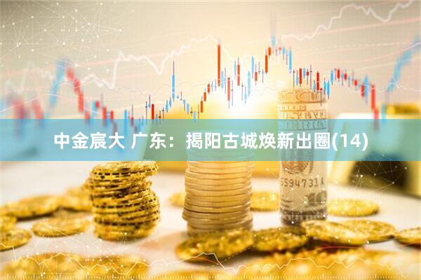 中金宸大 广东：揭阳古城焕新出圈(14)