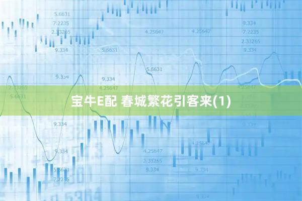 宝牛E配 春城繁花引客来(1)