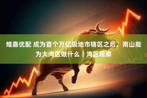 维嘉优配 成为首个万亿级地市辖区之后，南山能为大湾区做什么｜湾区观察
