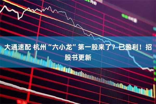 大通速配 杭州“六小龙”第一股来了？已盈利！招股书更新
