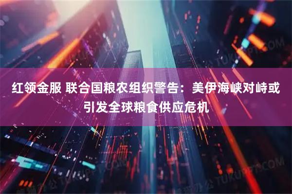 红领金服 联合国粮农组织警告：美伊海峡对峙或引发全球粮食供应危机