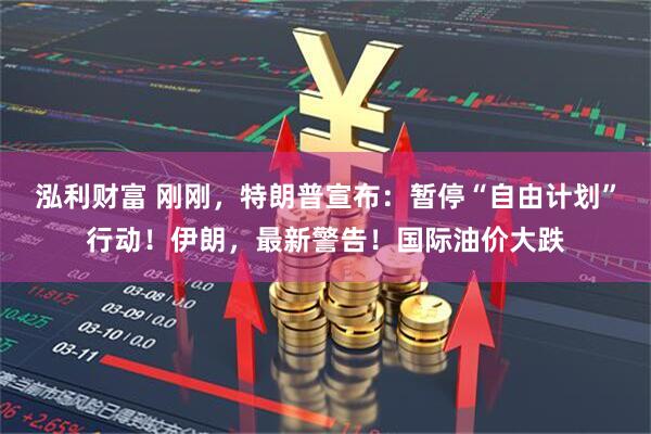 泓利财富 刚刚，特朗普宣布：暂停“自由计划”行动！伊朗，最新警告！国际油价大跌