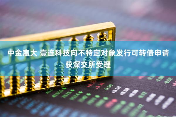 中金宸大 壹连科技向不特定对象发行可转债申请获深交所受理