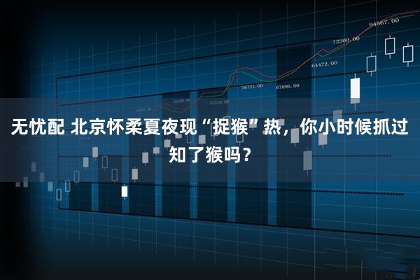无忧配 北京怀柔夏夜现“捉猴”热，你小时候抓过知了猴吗？